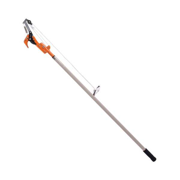 tp-119